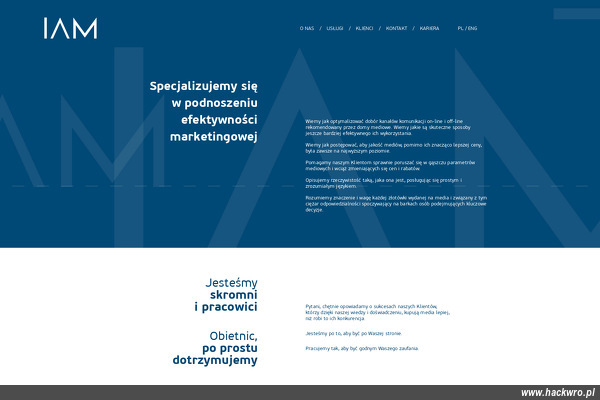 Instytut Audytu Mediowego