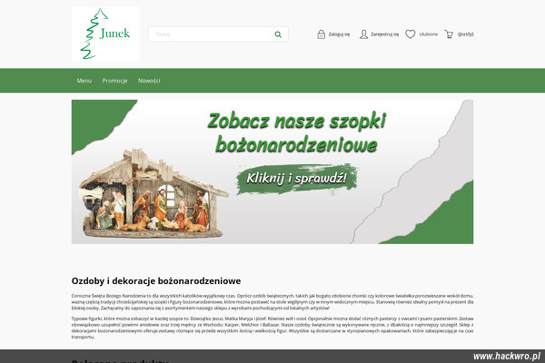 Paweł Molis P.P.H.U. JUNEK